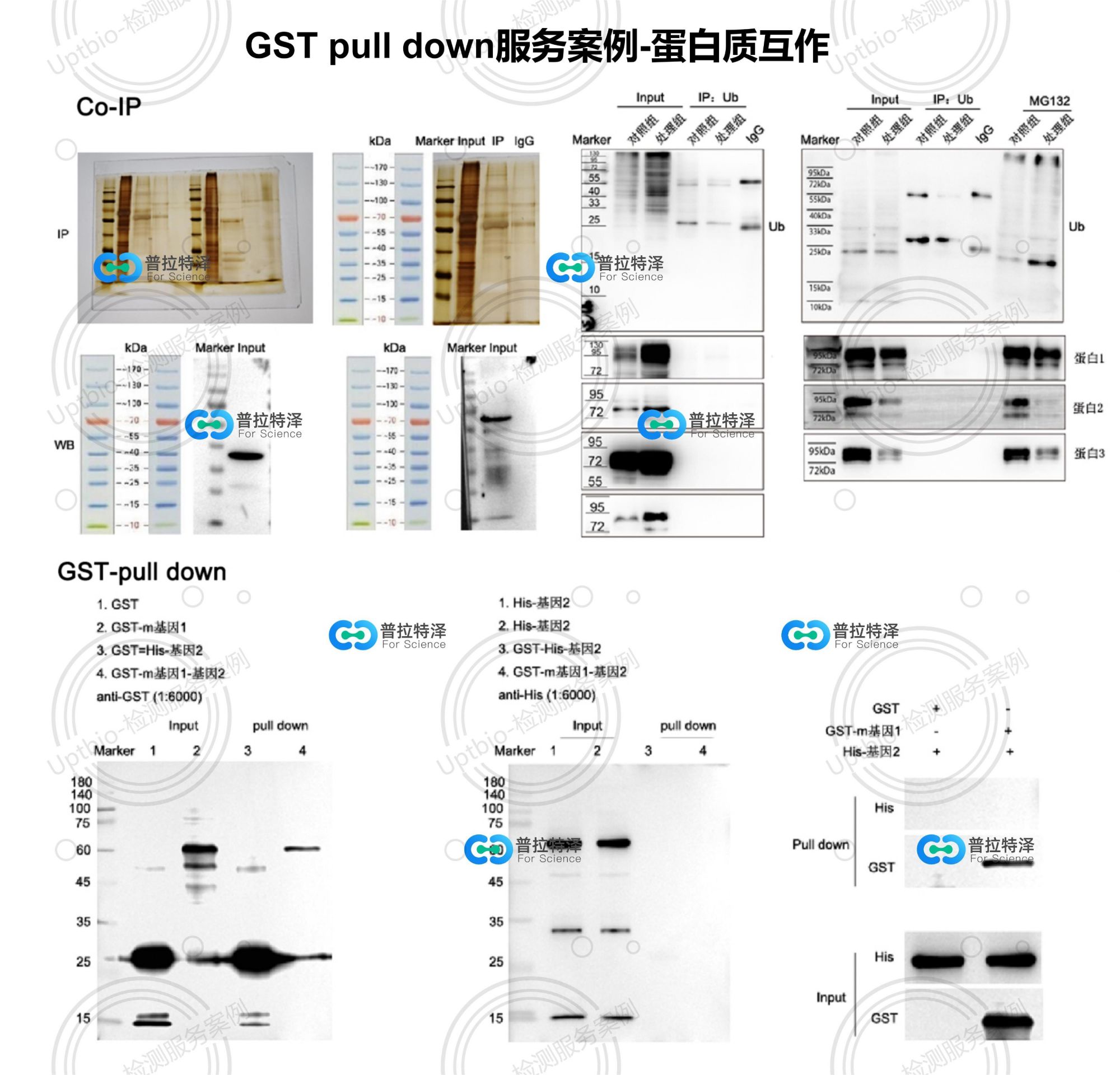 GST pull down服務案例 